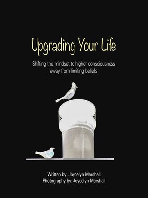 cover image of Upgrading Your Life